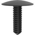 Push-pin